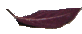 a leaf